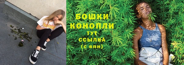 прущие крисы Белокуриха