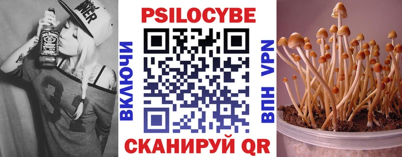 Псилоцибиновые грибы ЛСД  Светогорск 